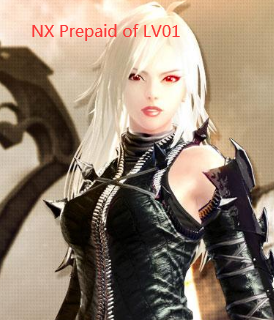 Vindictus CDKey : NX Prepaid with LV01 Account NX 500.000